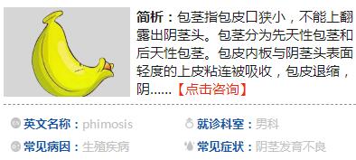 　　包莖的原因  　　包莖是指男孩生殖器包皮過小不能上翻顯露出陰莖頭的情況。包莖和包皮過長一樣，均表現(xiàn)為陰莖頭無法露出，但需要明確的是，嬰幼兒包莖屬于正常生理原因，若孩子到青春期后陰莖頭仍無法顯露才能確診為包莖，這就是先天性包莖與后天性包莖的區(qū)別。  　　先天性包莖：每個(gè)正常男孩從出生起就是先天性包莖，包皮與陰莖頭之間有生理性粘連，加之包皮口狹小，包皮不能上翻顯露陰莖頭。嚴(yán)格講先天性包莖并不是一種疾病，而是一種生理現(xiàn)象。如果男孩出生后不是包莖，陰莖頭外露則反而不正常，可能是先天性畸形，如尿道下裂、尿道上裂等。生理性包莖于生后數(shù)月起隨著粘連的吸收，包皮與陰莖頭分離，包皮口逐漸擴(kuò)大并自愈。小兒3歲以后，有90%的包莖自愈。17歲以后，僅不足1%有包莖。生理性包莖絕大部分能自愈。  　　后天性包莖：先天性包莖可以導(dǎo)致感染，造成陰莖頭包皮炎，如果陰莖頭包皮炎反復(fù)發(fā)作成慢性炎癥，包皮口失去皮膚的彈性及擴(kuò)張能力，形成瘢痕性攣縮，包皮不能上翻，這種包莖為后天性包莖，常伴有尿道口狹窄。包皮外傷后的瘢痕攣縮也可導(dǎo)致后天性包莖。  　　后天性包莖有量種情況，一種是假性包莖，一種是真性包莖。假性包莖并非真正的包莖，患兒勃起時(shí)只需用手將包皮拉下，就會(huì)露出龜頭，甚至在勃起時(shí)便自動(dòng)突圍而出。包莖如未能及時(shí)治療，陰莖頭長期被包皮緊鎖，致使青春期后造成陰莖發(fā)育不良，還會(huì)影響性生活。  　　因此，若家長發(fā)現(xiàn)嬰幼兒存在包莖現(xiàn)象，不必過分擔(dān)心。若孩子到青春期后仍存在包莖現(xiàn)象，則應(yīng)馬上進(jìn)行手術(shù)治療。  　　包莖的癥狀  　　包莖患兒陰莖頭無法突破包皮露出。包莖可分為以下四種類型，不同類型的包莖有不同癥狀表現(xiàn)：  　　1、先天粘連型：陰莖頭被包皮整個(gè)蓋住，且包皮內(nèi)層皮膚與龜頭粘在一起。這種類型的包莖對患兒日后影響極大，主要是不利于患兒日后進(jìn)行性生活。因?yàn)辇旑^無法與陰道直接接觸，患者無法體驗(yàn)性快感，也就無法完成正常的性生活。這種情況很嚴(yán)重，應(yīng)通過手術(shù)剝離開。  　　2、包皮嵌頓型：勉強(qiáng)可將包皮后翻，但包皮口較緊，當(dāng)強(qiáng)行后翻時(shí)，使得狹窄的包皮口卡在龜頭上，不能恢復(fù)。勃起時(shí)，患兒會(huì)出現(xiàn)撕心裂肺般的疼痛，陰莖頭充血、水腫，甚至出現(xiàn)壞死，這就是常說的包皮嵌頓。  　　3、半包型：日常龜頭只露出1/2，龜頭雖能保持干燥，但若包皮口過于狹窄，陰莖勃起時(shí)龜頭充血脹大，不能穿過狹窄的包皮口，使包皮過度牽拉導(dǎo)致劇烈疼痛，即使穿過包皮口，但狹窄的包皮口被膨大的龜頭脹得出現(xiàn)撕裂般的疼痛。  　　4、全包型：包皮將整個(gè)陰莖頭蓋住，但能后翻，露出龜頭，包皮可復(fù)位，這種情況較常見，患者沒明顯感覺，容易忽視治療。全包型z容易導(dǎo)致龜頭炎、尿道口炎，若炎癥沒及時(shí)治療，向深部擴(kuò)散以引發(fā)前列腺炎、輸精管阻塞等，比半包型危害更大。  　　當(dāng)孩子出現(xiàn)這些包莖癥狀時(shí)，家長需要馬上帶孩子到醫(yī)院進(jìn)行手術(shù)治療，切勿耽誤，以免影響孩子生殖器發(fā)育，造成嚴(yán)重后果。  　　包莖的治療  　　需要明確的是，若孩子不足5歲，無排尿困難、沒有出現(xiàn)感染、包皮垢不嚴(yán)重，這種情況下的包莖不必進(jìn)行治療。對于這種包莖，家長可以先嘗試家庭方法。  　　先帶孩子到醫(yī)院就診，在醫(yī)生配合下將包皮反復(fù)試行上翻，使包皮口擴(kuò)大，顯露陰莖頭，清理包皮垢，涂抗生素軟膏或液狀石蠟使其潤滑，然后將包皮復(fù)原。家長繼續(xù)采用該方法在家中治療，大多數(shù)患兒的包莖癥狀會(huì)隨年齡增長消失。  　　若孩子已滿5歲且包莖影響到了正常生理功能，則需要進(jìn)行包皮環(huán)切術(shù)。包皮環(huán)切術(shù)適用于：包皮口有纖維性狹窄環(huán)的后天性包莖；反復(fù)發(fā)作陰莖頭包皮炎；5-6歲以后包皮口重度狹窄，包皮不能退縮而顯露陰莖頭，保守治療不滿意者。其中前兩者是相對手術(shù)指征。  　　除了包皮環(huán)切術(shù)外，還可以通過氣導(dǎo)管擴(kuò)張術(shù)治療，可使絕大多數(shù)包莖患兒免于手術(shù)治療的痛苦。zl方法：在擴(kuò)張術(shù)前自包皮外口滴入麻y，2-3分鐘后應(yīng)用一次性氣囊導(dǎo)管，對包皮與陰莖頭之間的粘連進(jìn)行分離，然后上翻包皮，清理包皮垢后，敷上少許y膏，z后將包皮恢復(fù)原位，覆蓋陰莖頭。整個(gè)操作僅十幾分鐘，只在氣囊充氣時(shí)略有脹感，分離粘連時(shí)稍感不適，術(shù)后兩天復(fù)查上y一次，以后只要保持局部清潔，注意經(jīng)常清洗，就可以防止再粘連。氣囊導(dǎo)管擴(kuò)張術(shù)系非創(chuàng)傷性治療，不出血，痛苦甚微，小兒一般均能合作與接受。  　　當(dāng)發(fā)現(xiàn)孩子包莖后，家長一定要注意保持孩子陰莖的衛(wèi)生。經(jīng)常為孩子清潔生殖器，清楚包皮垢。若包莖導(dǎo)致孩子包皮口出現(xiàn)炎癥如發(fā)紅發(fā)腫等，家長可先給孩子熱敷，或涂抹消炎y。若炎癥消退，排尿正常，則可以先不進(jìn)行手術(shù)。若發(fā)炎癥狀遲遲不得好轉(zhuǎn)，則需要采取合適的手術(shù)手段進(jìn)行治療。  　　包莖手術(shù)費(fèi)用多少  　　包莖手術(shù)的費(fèi)用并不是統(tǒng)一的，具體費(fèi)用與醫(yī)院的資質(zhì)、方法、醫(yī)生有關(guān)。在不同的醫(yī)院，采用不同的包莖手術(shù)，價(jià)格也會(huì)出現(xiàn)差異。治療費(fèi)用一般是由術(shù)前檢查費(fèi)、手術(shù)費(fèi)和術(shù)后消炎費(fèi)三部分組成?；純喊o的情況不一樣，再加上所選擇的醫(yī)院，所選擇的技術(shù)不同，因此在費(fèi)用方面會(huì)存在一定的差異，但一般不會(huì)差太多。  　　僅僅手術(shù)的費(fèi)用大約在500元左右，另外還需要術(shù)前的必要檢查和術(shù)后的y物應(yīng)用的費(fèi)用，大約整個(gè)花費(fèi)在1000元左右，中等城市的手術(shù)收費(fèi)在800-1200元左右即可。有部分私立醫(yī)院可能會(huì)便宜很多，但需先了解清楚手術(shù)過程和性質(zhì)以及手術(shù)的aq性。在二線城市比如鄭州人民醫(yī)院泌尿外科作此手術(shù)，手術(shù)費(fèi)、治療費(fèi)、y、住院床鋪費(fèi)包干1050元。建議正規(guī)的人民醫(yī)院或者中醫(yī)院就診。  　　包莖吃什么好  　　對于嬰幼兒來說，包莖屬于一種正常的生理現(xiàn)象。在未進(jìn)行包皮環(huán)切術(shù)前，在飲食上并無特殊要求。而進(jìn)行了包皮環(huán)切術(shù)后，在術(shù)后1周內(nèi)家長應(yīng)注意給孩子提供營養(yǎng)豐富的食物，多給孩子吃肉、魚、蛋等，能幫助手術(shù)切口生長復(fù)原。此外，術(shù)后還可以讓孩子進(jìn)食一些食療方調(diào)補(bǔ)身體，促進(jìn)康復(fù)：  　　1、銀花茅根茶  　　茅根用于熱病煩渴，胃熱嘔噦，肺熱咳嗽。白茅根能清肺胃之熱，故適用于上述諸癥，常作輔助y應(yīng)用。又在麻疹出疹期與恢復(fù)期，均可用茅根煎湯作飲料，取它清熱生津的gz。此外，本品尚有利尿作用，可用于水腫，熱淋，黃疸等癥。  　　原料：銀花、茅根各適量。  　　做法：煎煮代茶飲用。  　　2、銀花綠豆茶  　　綠豆?fàn)I養(yǎng)豐富。籽粒含蛋白質(zhì)20-24%，脂肪0.5-1.5%，碳水化合物55-654%及各種礦物質(zhì)和維生素。蛋白質(zhì)中含有人體必需的各種氨基酸。綠豆是防暑的飲料，可制成多種糕點(diǎn)、粉絲、粉皮，釀制綠豆大曲和燒酒。  　　原料：銀花15g，綠豆衣10g。  　　做法：熱水沖泡飲用。  　　3、香椿葉面糊  　　香椿葉性涼，味苦平；入肺、胃、大腸經(jīng)?？梢郧鍩峤舛?，健胃理氣，潤膚明目，殺蟲。主治瘡瘍，脫發(fā)，目赤，肺熱咳嗽等病癥。每100克香椿中含蛋白質(zhì)9.8克（居群蔬之冠），鈣143毫克，維生素C115毫克（僅次于辣椒），磷135毫克，胡蘿卜素1.36毫克，核黃素1.50毫克，鐵4.5毫克，粗纖維1.56克。  　　原料：鮮香椿葉250g，面糊，食鹽少許，素油500g。  　　做法：鮮香椿葉洗凈、切碎，調(diào)面糊和食鹽少許，加油燒熱鍋，把糊料放入油中，炸黃撈出，食之。  　　4、赤豆粳米粥  　　赤小豆味甘，性平。能健脾利濕，散血，解毒。與粳米同煮，簡單方便，能清熱解毒，利水消腫。  　　原料：赤小豆50g，粳米500g  　　做法：放入鍋中文火燉煮至熟爛，分頓吃肉喝湯。  　　包莖檢查  　　包莖可以通過觀察體征明確診斷。家長可以將包皮上翻，觀察包皮口大小，若過小則考慮為包莖。此外，嵌頓包莖時(shí)，水腫的包皮翻在陰莖頭的冠狀溝部，在其上緣可見到狹窄環(huán)，陰莖頭呈暗紫色。  　　包莖患兒由于包皮垢積留于包皮腔，可誘發(fā)陰莖頭包皮炎。表現(xiàn)為排尿次數(shù)明顯增多。急性發(fā)炎時(shí)包皮可出現(xiàn)紅腫，嚴(yán)重者可產(chǎn)生膿性分泌物，伴發(fā)熱等全身中毒癥狀。積聚的包皮垢于冠狀溝處隔著包皮顯示略呈白色的小腫塊，常被誤認(rèn)為腫瘤。有時(shí)包皮口小如針眼，排尿時(shí)尿液先積聚在包皮腔內(nèi)，使包皮如囊腫樣膨大，尿線細(xì)長，排尿困難。長期排尿困難可導(dǎo)致形成膀胱、尿道結(jié)石，出現(xiàn)膀胱輸尿管反流使腎臟受損。嵌頓性包莖，疼痛劇烈，包皮水腫，有排尿困難，時(shí)間過長嵌頓包皮壞死。  　　此外，還需要注意包莖和包皮過長的區(qū)別。包莖是指包皮口狹小，包皮難以上翻。包皮過長則是包皮覆蓋全部陰莖頭，但包皮口并不小。判斷是包莖還是包皮過長，可以通過自我檢查進(jìn)行確定，方法是：在陰莖部涂搽肥皂，使包皮內(nèi)外潤滑，左手固定陰莖，右手將包皮向后推并翻轉(zhuǎn)，若能順利將包皮上翻，為包皮過長；若包皮口太小不能上翻，即為包莖。包莖多數(shù)為先天性。有一部分是在包皮過長的基礎(chǔ)上反復(fù)感染，造成粘連不能翻起所致。  　　若嬰幼兒患包莖，在不影響排尿的情況下不需要進(jìn)行手術(shù)治療。若包莖影響孩子正常生理功能，則需要馬上進(jìn)行手術(shù)。  　　包莖預(yù)防  　　大部分嬰幼兒會(huì)有先天性包莖現(xiàn)象。只要患兒生殖器護(hù)理得當(dāng)，隨著孩子年齡的增長和身體發(fā)育，包莖現(xiàn)象會(huì)逐漸消失。因此，預(yù)防包莖，z有效的方法就是做好生殖器的護(hù)理工作：  　　1、早穿滿襠褲防意外傷害。  　　孩子能獨(dú)立如廁后家長應(yīng)給孩子穿滿襠褲。穿開襠褲的孩子陰莖常暴露在外，容易被貓、狗等動(dòng)物咬傷，也容易燙傷、凍傷被銳器割傷等。早穿滿襠褲，生殖器暴露在外的機(jī)會(huì)少了，上述意外損傷的機(jī)會(huì)也就少了。此外，還要注意孩子的內(nèi)褲應(yīng)以松軟為宜。  　　2、經(jīng)常清洗防止發(fā)炎。  　　孩子陰莖雖然尚未發(fā)育成熟，但也在正常運(yùn)作，不停進(jìn)行新陳代謝產(chǎn)生廢物。孩子陰莖因生理性包皮過長，龜頭縮在里面，常有一種分泌物，叫做包皮垢。這些垢物時(shí)間久了會(huì)有鹽類沉積，稱為包皮結(jié)石，可以產(chǎn)生機(jī)械刺激引起發(fā)癢。  　　孩子因癢搔抓，抓破皮膚或粘膜就會(huì)發(fā)炎。每日清洗可以避免發(fā)炎。清洗時(shí)注意把包皮慢慢翻上來，讓小龜頭盡量暴露才能**洗凈。  　　3、及早糾正玩陰莖的不良習(xí)慣。  　　有些孩子有玩弄生殖器的不良習(xí)慣，家長應(yīng)教育孩子盡早糾正。以防孩子手上的細(xì)菌導(dǎo)致生殖器感染。同時(shí)常玩弄生殖器也不利于其發(fā)育。  　　此外，對于孩子一些常見的生殖系統(tǒng)疾病也應(yīng)及時(shí)治療。  　　包皮的作用  　　1、保護(hù)龜頭  　　避免龜頭遭受外傷及蚊蟲叮咬等。使龜頭保持一定溫度，調(diào)節(jié)PH值平衡，還具有清潔作用;分泌的皮脂使陰莖頭潤滑和維持健康。  　　2、免疫防護(hù)  　　腺體能夠分泌抗細(xì)菌和病毒蛋白，如溶菌酶。包皮黏膜的漿細(xì)胞能夠分泌免疫球蛋白，這是一種預(yù)防感染的抗體。  　　3、性感帶  　　性交時(shí)，促進(jìn)平滑又溫和的運(yùn)動(dòng)，增加包皮、系帶、龜頭的刺激。包皮上豐富的神經(jīng)末梢和感知細(xì)胞可增加快感。